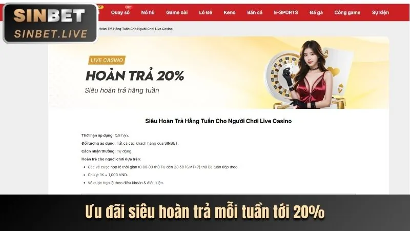 Hoàn Trả Hàng Ngày rr8 casino